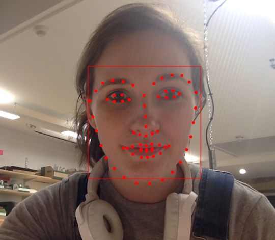 Face Tracker